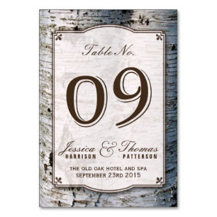 Uppsamlingen Rustic Silver Birch Träd Bröllop 09 Bordsnummer