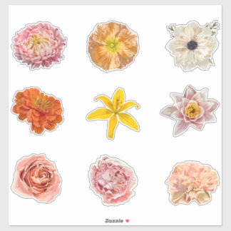 Uppsättning av ro och trädgårdsblommor inslag. klistermärken