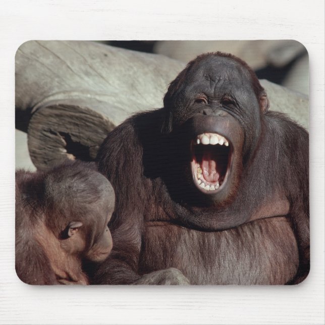 Uppsättning för vilda djur och växter - Primater 1 Musmatta (Framsidan)