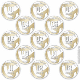 uppsättning med 13 gigantiska golden volleyball-sp klistermärken