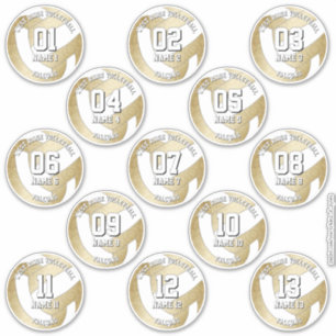 uppsättning med 13 gigantiska golden volleyball-sp klistermärken