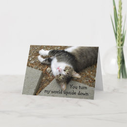 Uppsida ner på World Cat Valentine Day Card Helgkort