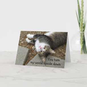 Uppsida ner på World Cat Valentine Day Card Helgkort