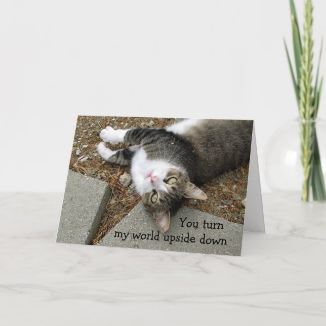 Uppsida ner på World Cat Valentine Day Card Helgkort (Framsida)
