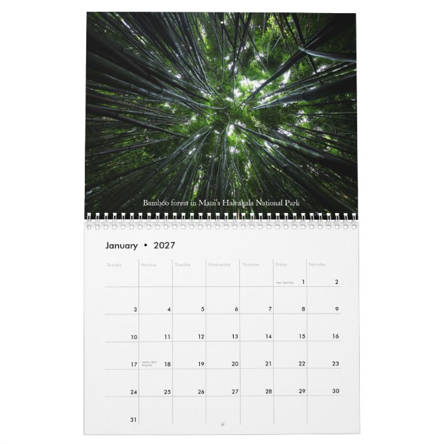 Uppskatta naturen - Vol 1 Kalender (Jan 2027)