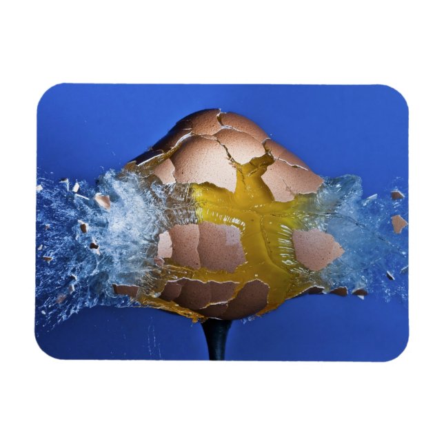 Uppskattad Magnet (Horisontell)