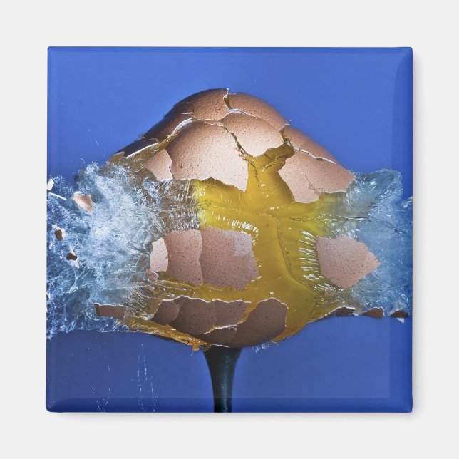 Uppskattad Magnet (Framsidan)