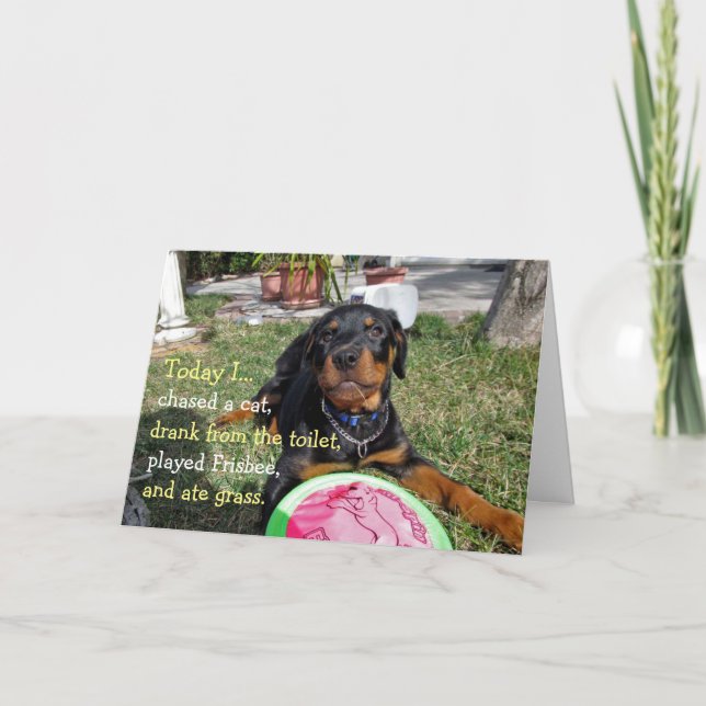 Uppskattad Rottweiler-valpens årsdagskort Kort (Framsida)