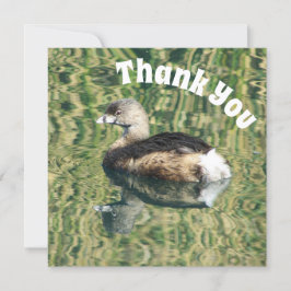 Uppskattning av grebe- och reflektionsfoto i tack