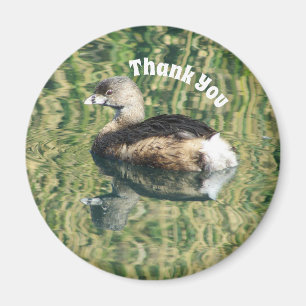 Uppskattning av grebe- och reflektionsfoto i tack magnet