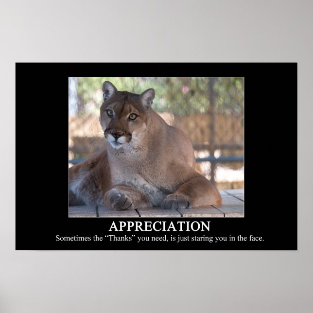 Uppskattning Poster (Framsidan)