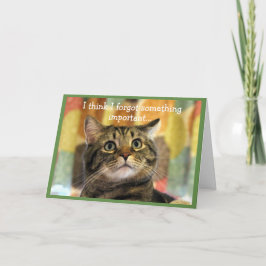 Uppskjuten Tabby katt-födelsedag Kort