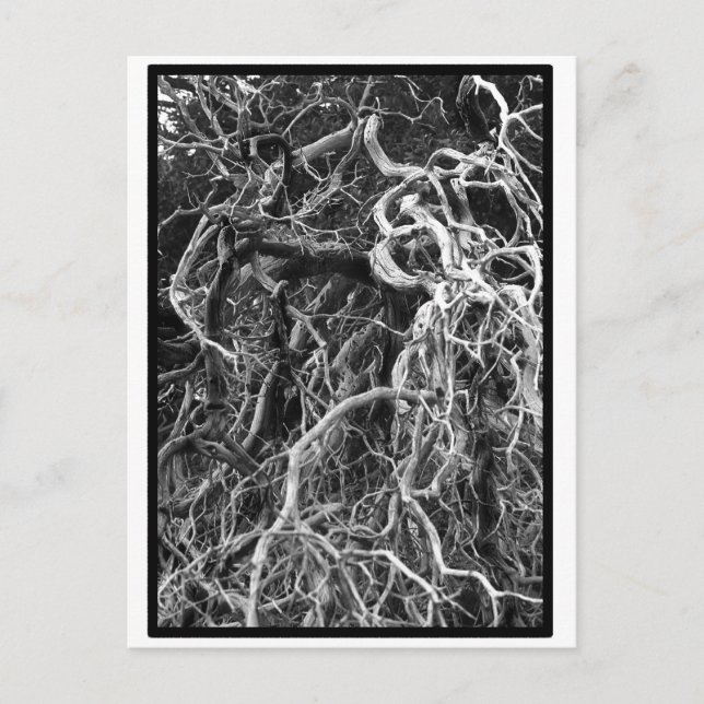 Uppskjutet vykort (Framsida)