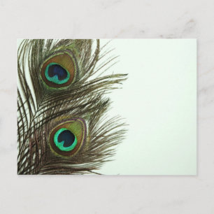 Uppskjutningskort för peacock Feather Vykort