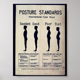 Uppskjutningsstandarder Poster