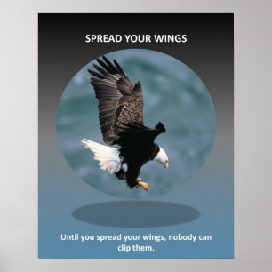 uppslag i vingar poster