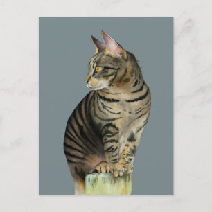 "Uppslag" Tabby katt på träets postillustration Vykort