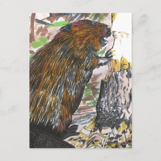 Uppslukade bävern vykort (Framsida)
