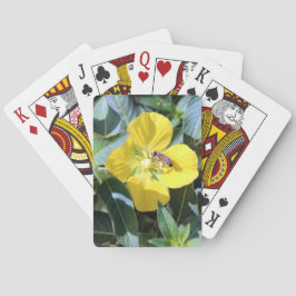 Uppslukande Bi Casinokort