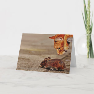 Uppspelad Orange Katt med mus Blank Hälsning Kort