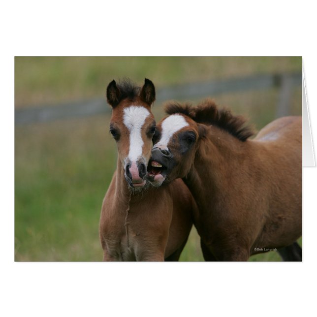 Uppspelning av föl hälsningskort (Framsidan Horizontal)