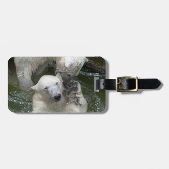 Uppspelning av Polar Bears Bagagebricka (Horisontell Framsida)
