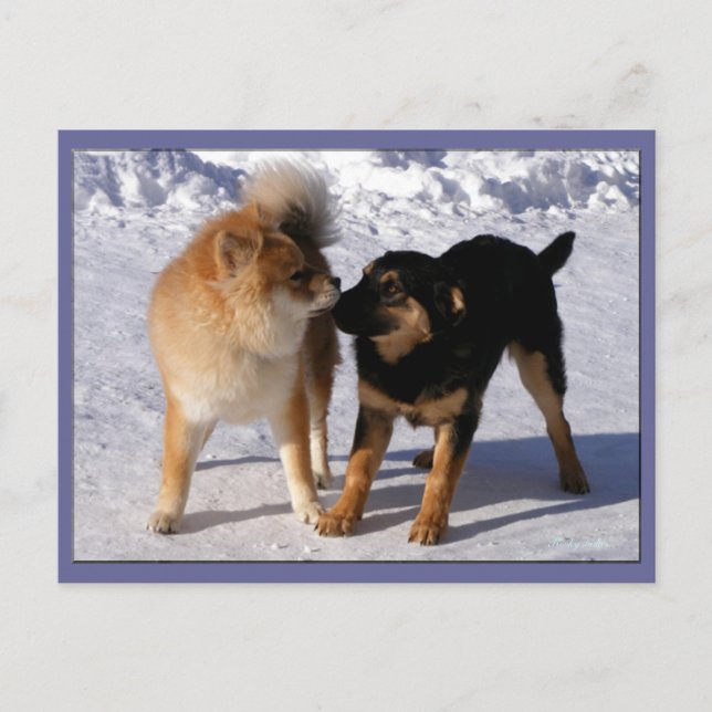 Uppspelning av vykort (Framsida)