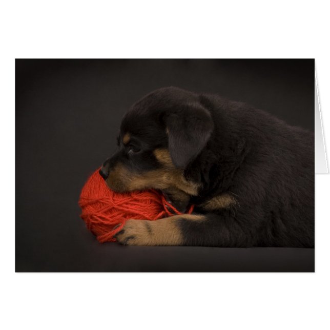 Uppspelningsdockor 2 hälsningskort (Framsidan Horizontal)