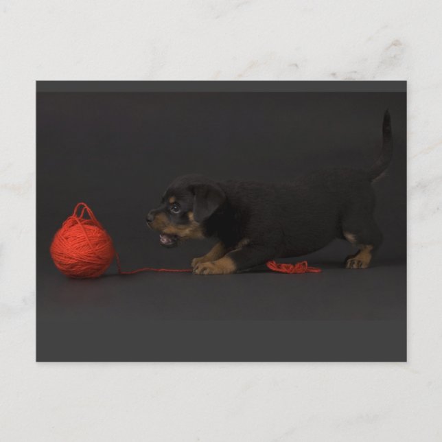 Uppspelningsdockor 3 vykort (Framsida)