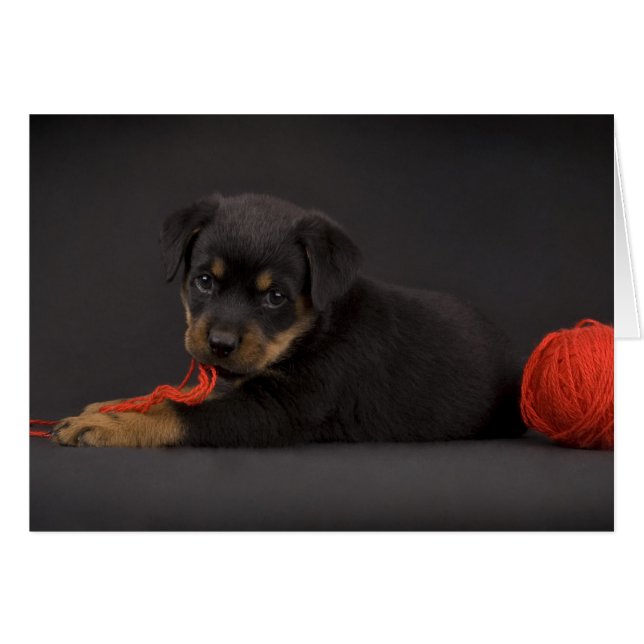 Uppspelningsdockor 5 hälsningskort (Framsidan Horizontal)