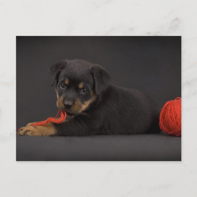 Uppspelningsdockor 5 vykort (Framsida)