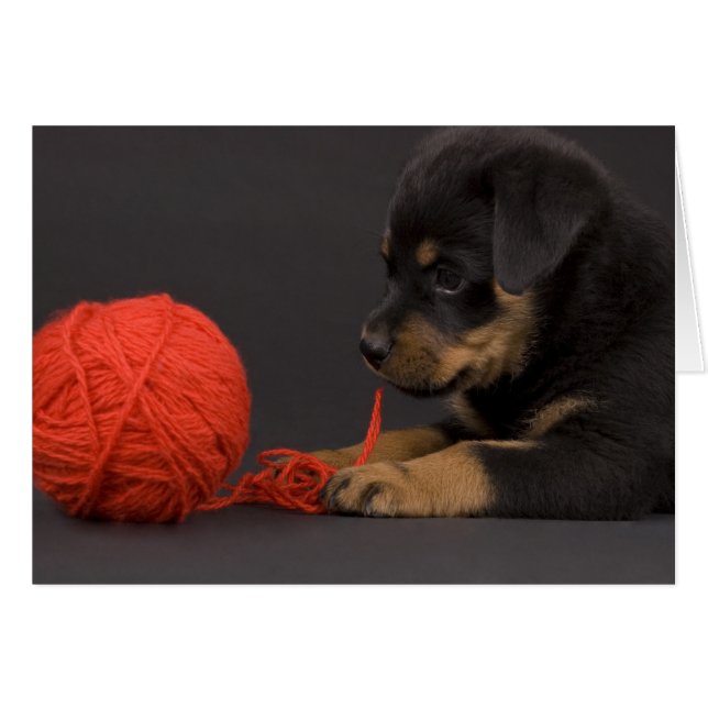 Uppspelningsdockor 6 hälsningskort (Framsidan Horizontal)