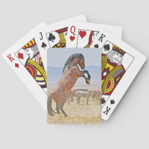 Uppspelningsgrupp, Redo till uppspelning, kortupps Casinokort