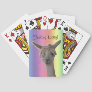 Uppspelningskort - Alpaca på bakgrunden till regnb Casinokort