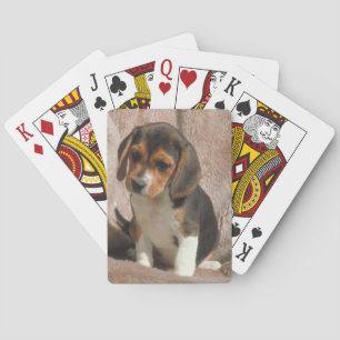 Uppspelningskort för beagle Puppy Hund Casinokort