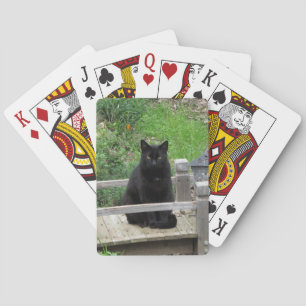 Uppspelningskort för Black Kattunge Bridge Spel Kort