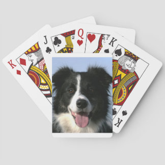 Uppspelningskort för Gräns Collie Hund Spel Kort