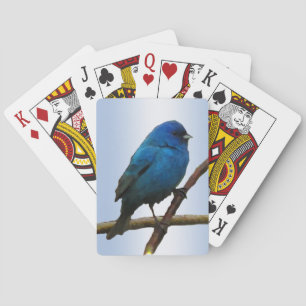 Uppspelningskort för indigo Bunting Bird Casinokort