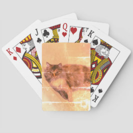 Uppspelningskort för katt casinokort