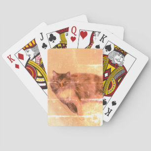 Uppspelningskort för katt casinokort