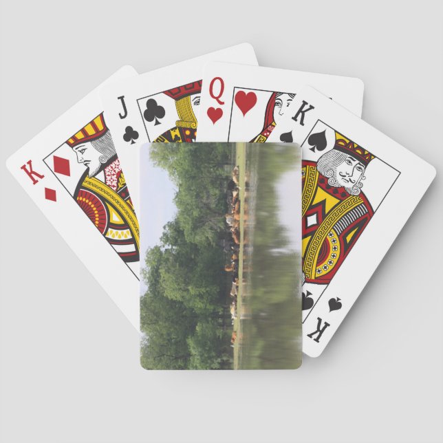 Uppspelningskort för kor casinokort (Baksidan)