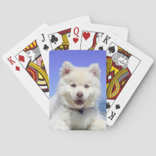 Uppspelningskort för Personlig Pet Photo Kortlek