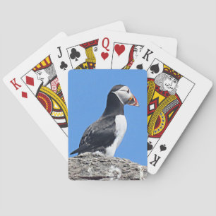 Uppspelningskort för Puffin Casinokort