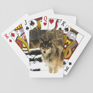Uppspelningskort för varg Cycle Casinokort