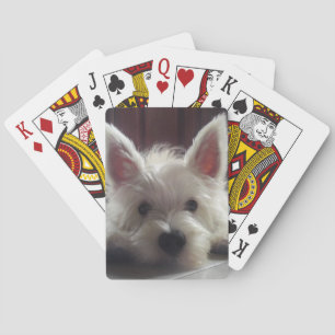 Uppspelningskort för väster Highland White Terrier Casinokort