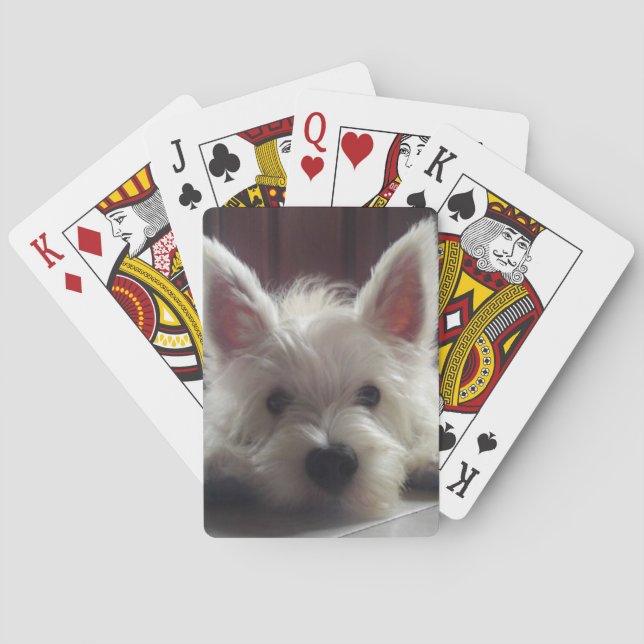 Uppspelningskort för väster Highland White Terrier Casinokort (Baksidan)