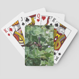 Uppspelningskort för WASP Casinokort