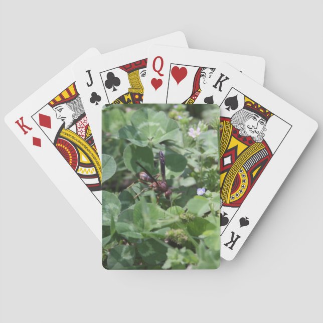 Uppspelningskort för WASP Casinokort (Baksidan)