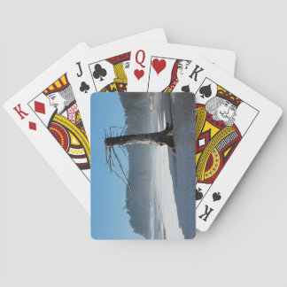 Uppspelningskort funky Träd Casinokort