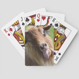 Uppspelningskort "Goat Ansikte" - Leverans Casinokort